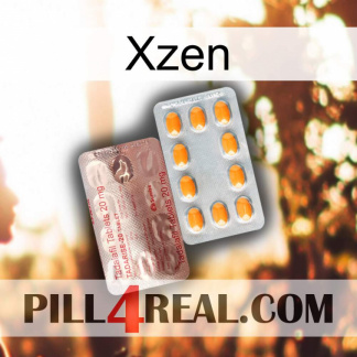 Xzen new13